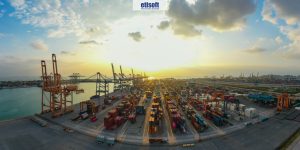 Cargo przeładunek towarów i opakowań drewnianych. Fb