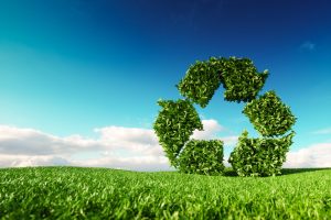 Zielona ikona recyklingu. Dlaczego warto segregować śmieci i jak robić to dobrze
